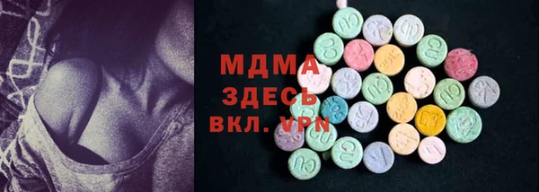 гидра Бородино