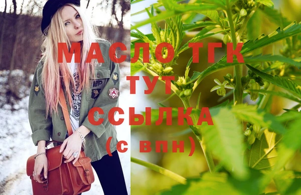 гидра Бородино