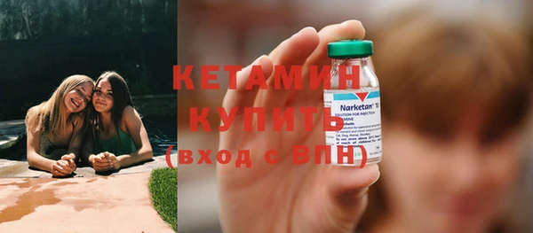 гидра Бородино