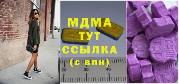 гидра Бородино